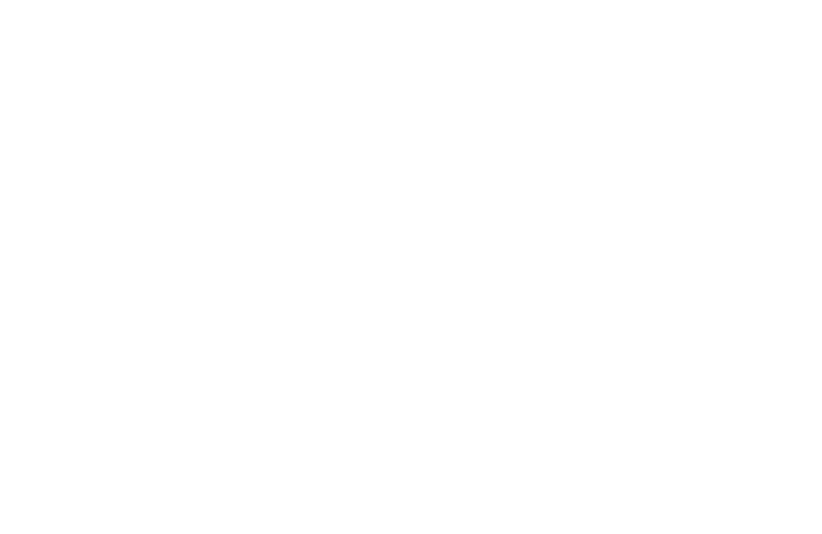 TRVL BESTIE